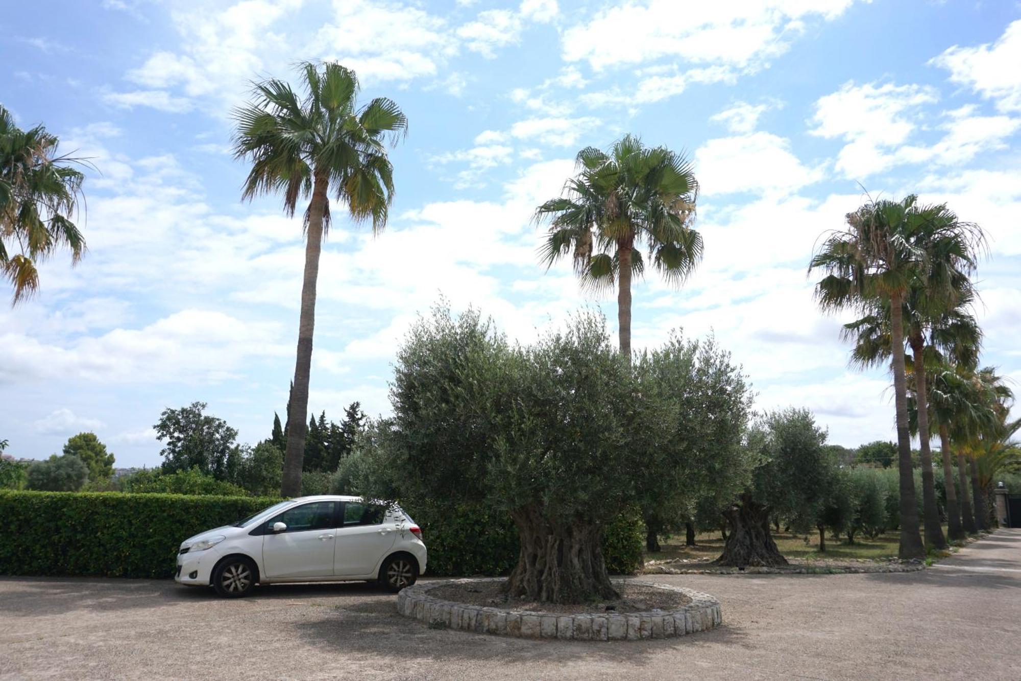 Sa Caseta Moscari Exterior photo